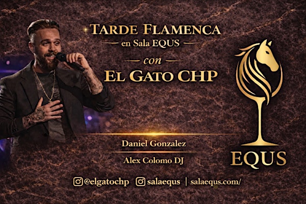 TARDE FLAMENCA EQUS GETAFE. EL GATOCHP