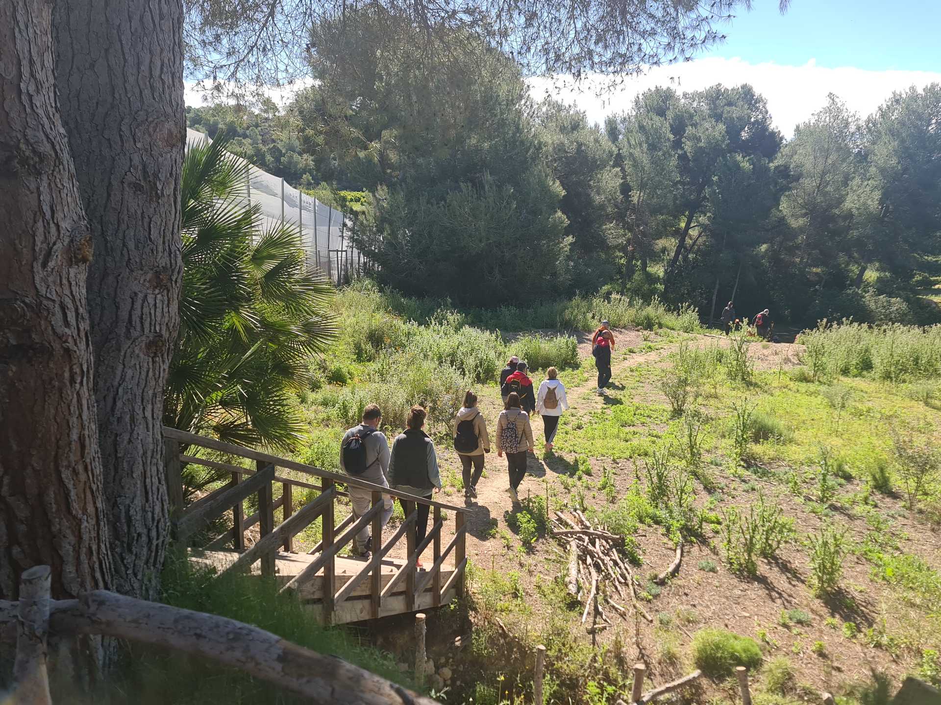 DÍA DE SENDERISMO: RUTA POR LA "FUENTE DEL SISCAR" EN PINAR DE CAMPOVERDE DE PILAR DE LA HORADADA
