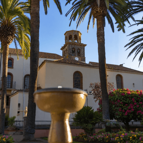 Fiestas del Cristo de la Buena Muerte