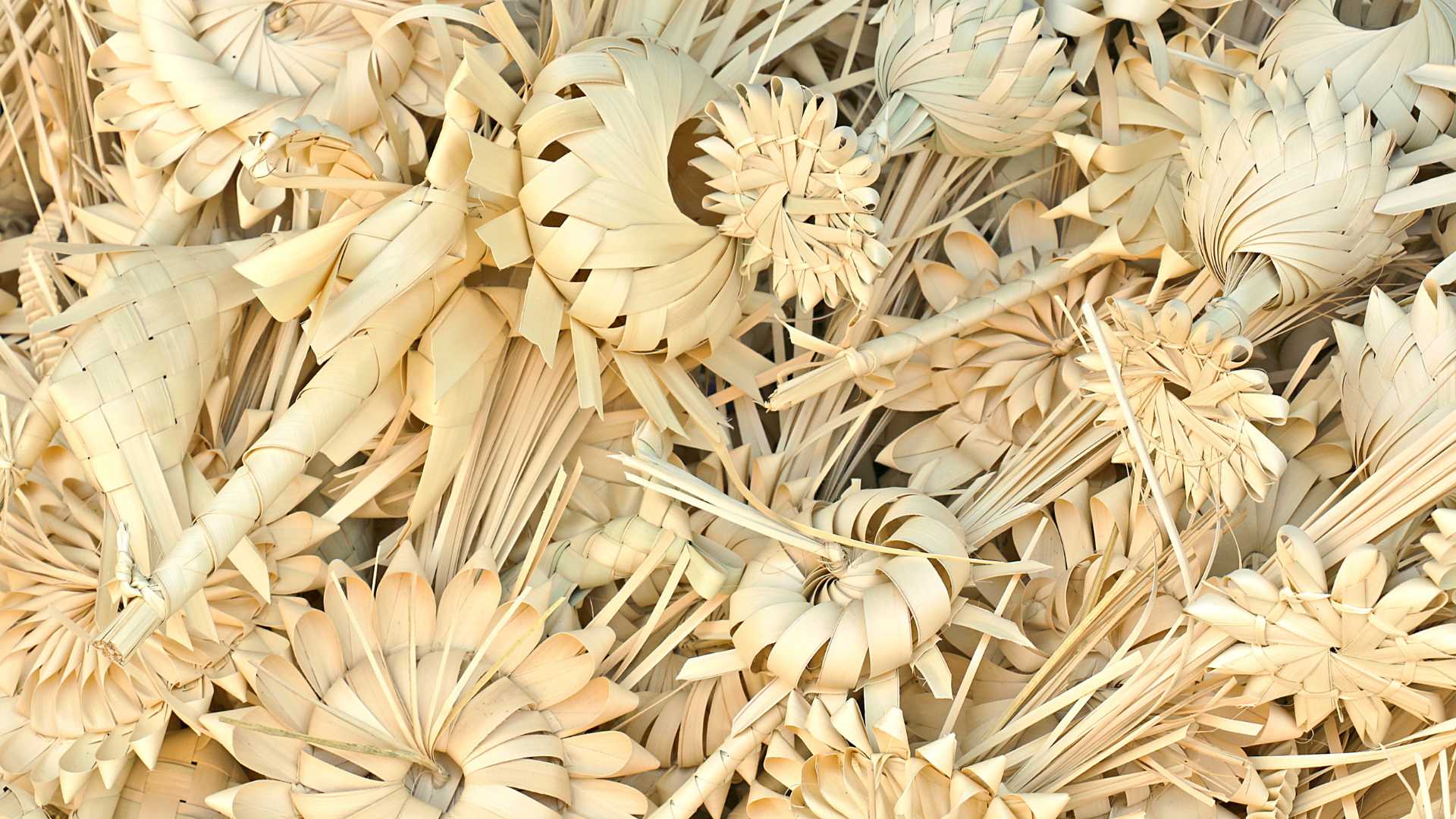 Taller de Palma Blanca