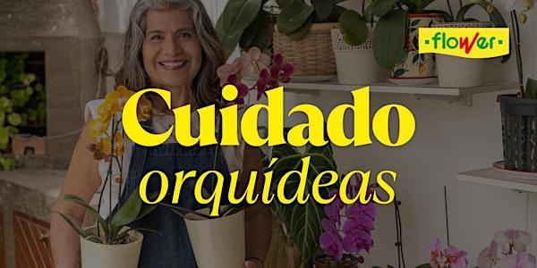 Taller Flower | Cuidado de Orquídeas