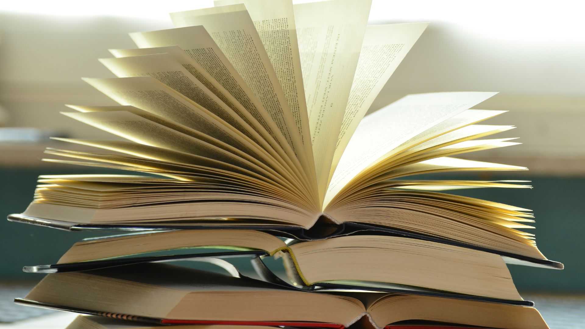 Entre Llibres: charlas literarias en Benicasim