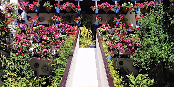 Guided tour of the Courtyards of Córdoba - Spanish