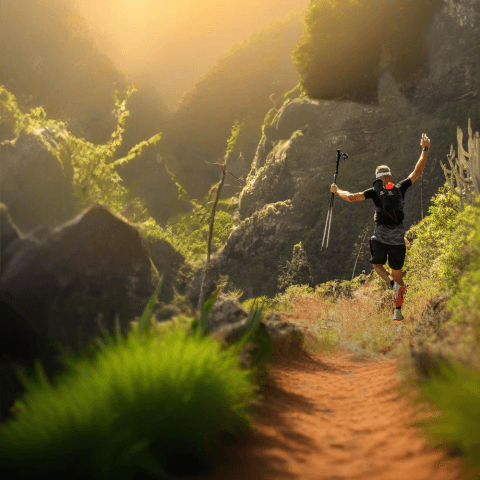 Acantilados del Norte