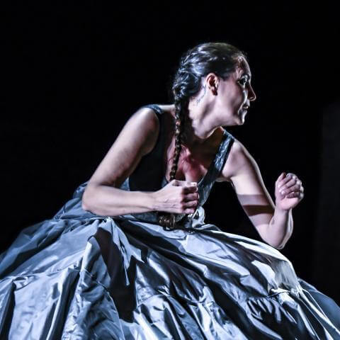 Creaviva de Rafaela Carrasco