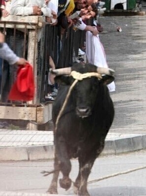 El Toro de Cuerda