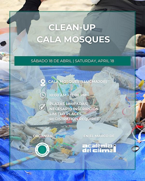 Clean-up CALA MOSQUES