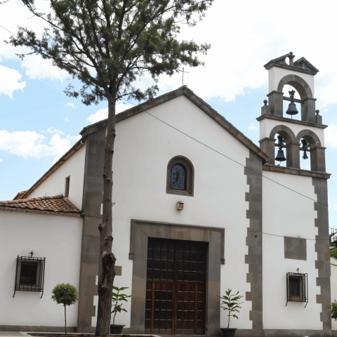 Fiestas de la Caña Dulce y La Concepción