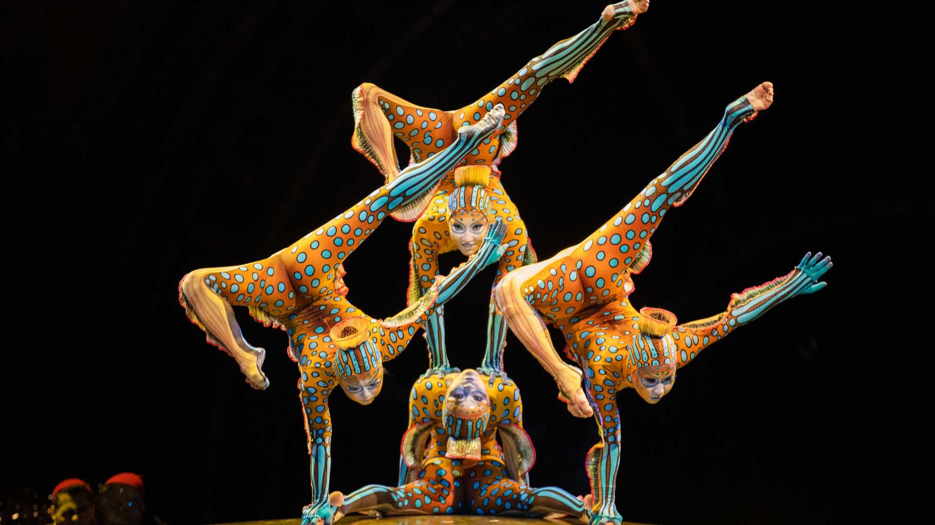 Cirque du Soleil: Kurios - Gabinete de Curiosidades en Alicante