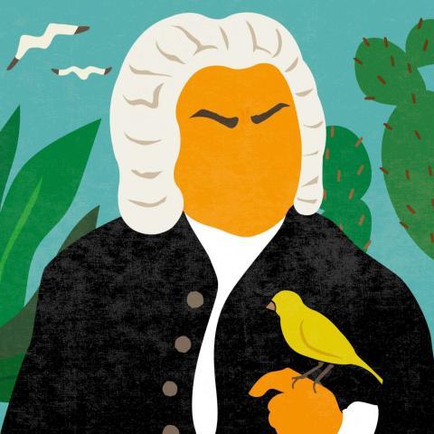 Bach  Concertante