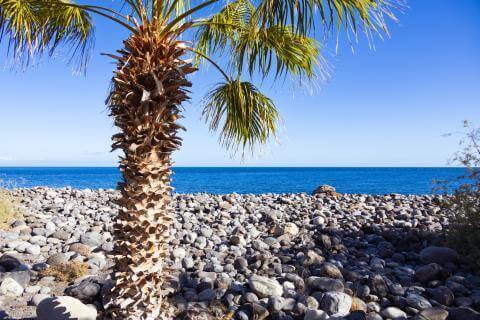 Romería de San Roque en Playa de Santiago