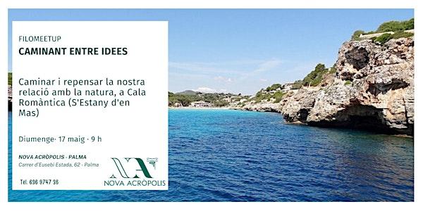 Filomeetup. Caminando entre ideas