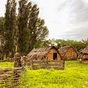 Visita al Parc Neolític de la Draga