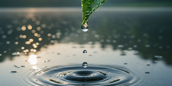 Dr. Santiago Segovia: Conciencia corporal, bienestar y dolor