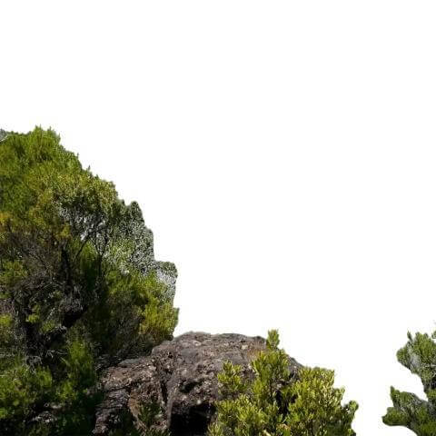 Trail Cris Santurino