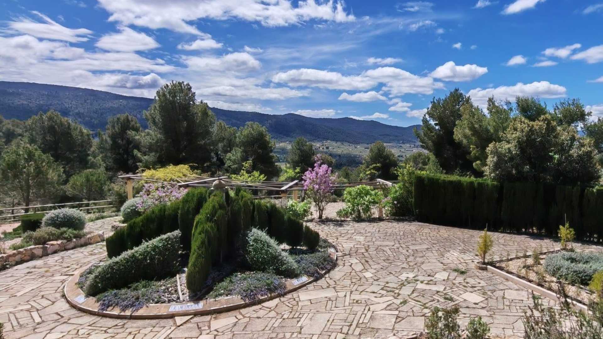 Visitas guiadas por Ibi