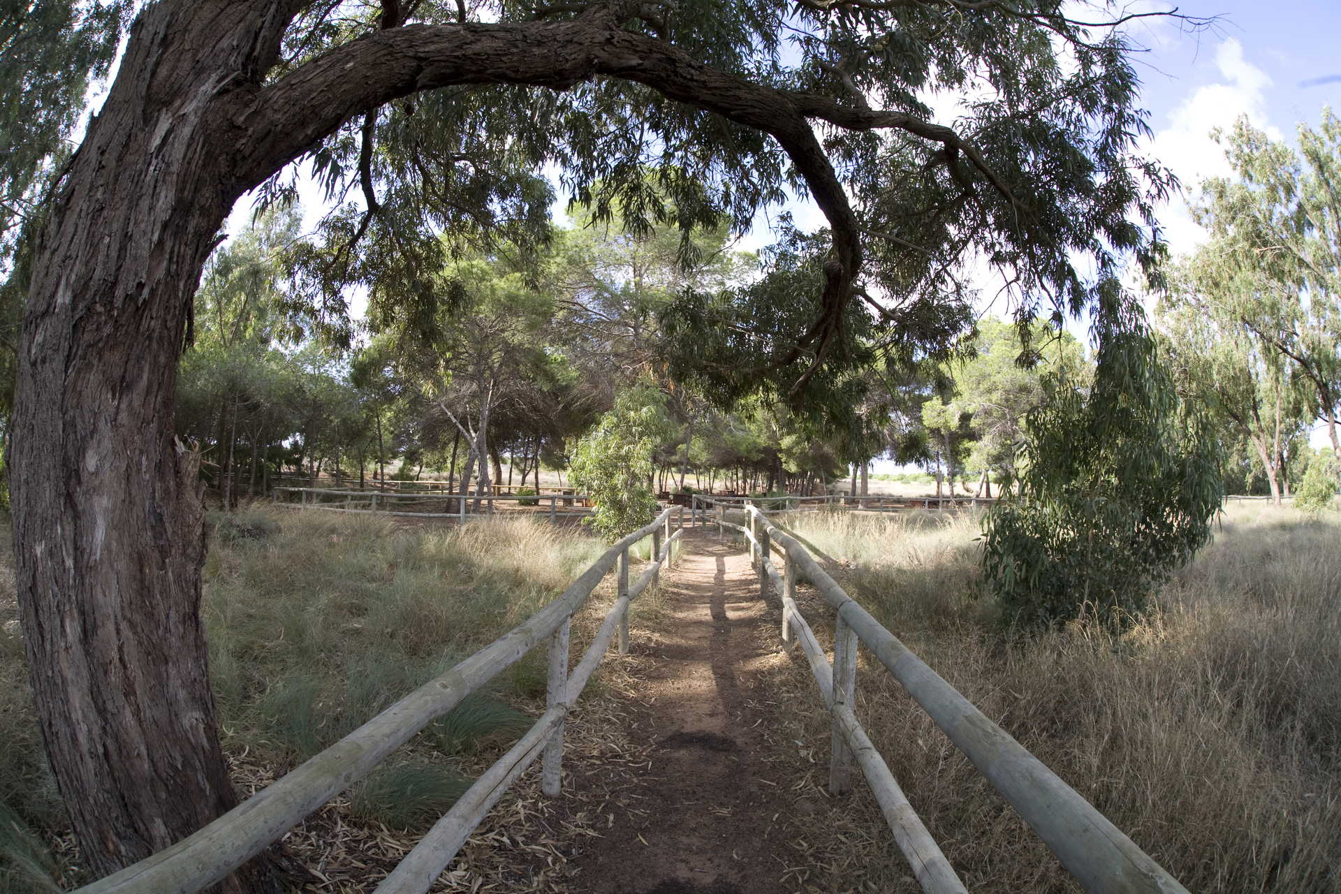 Eco-rutas en el Parque Natural de La Mata y Rutas Paraje Natural Molino del Agua