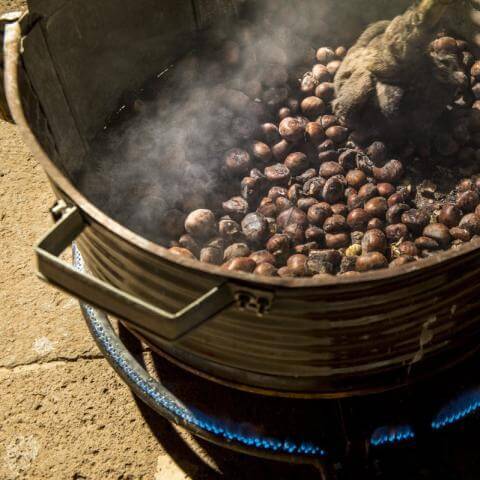 Fiestas del cacharro y la castaña