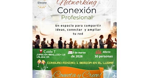 Networking Conexión Profesional