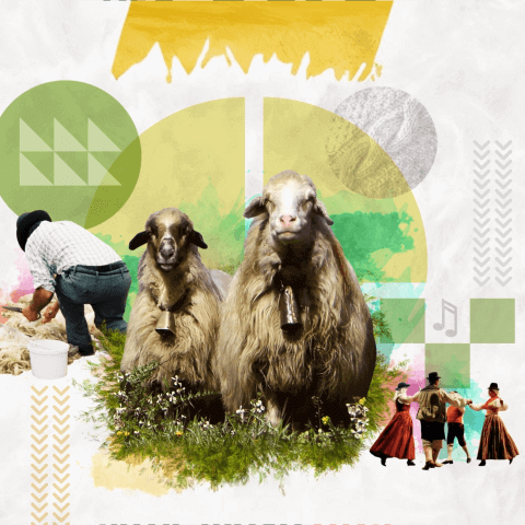 Fiesta de la Lana de Gáldar