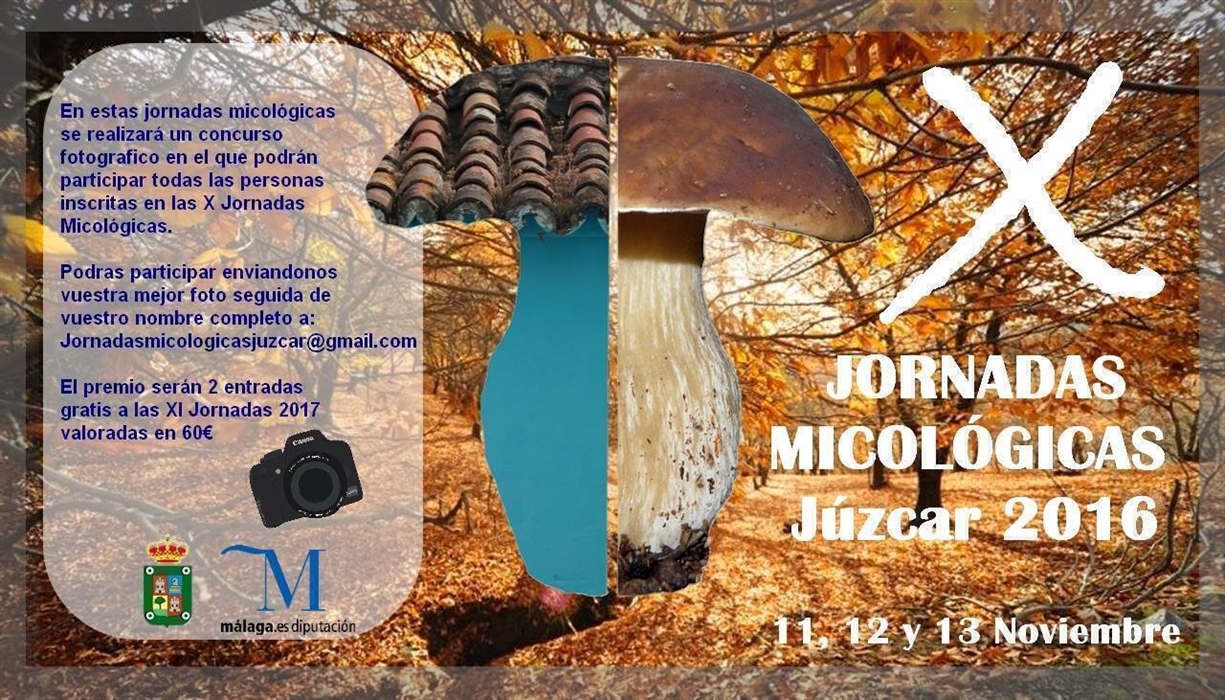 Jornadas Micológicas Valle del Genal