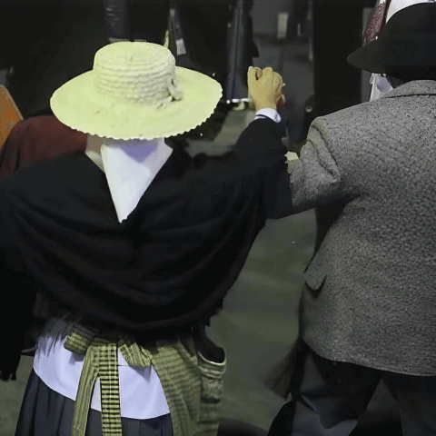 Gran Baile de Taifas: Día de Canarias