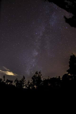 Lluvia de estrellas:  Eta Acuáridas