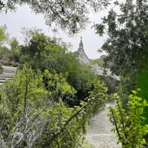 Fiestas del Carmen en Las Goteras