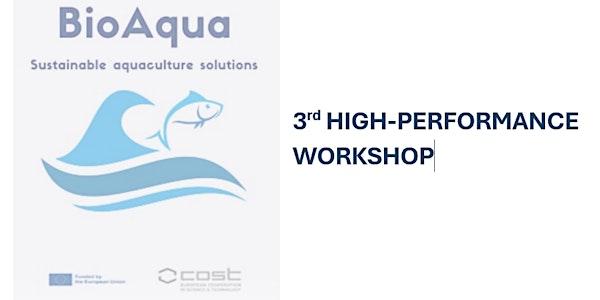 3rd BIOAQUA High-Performance Workshop
