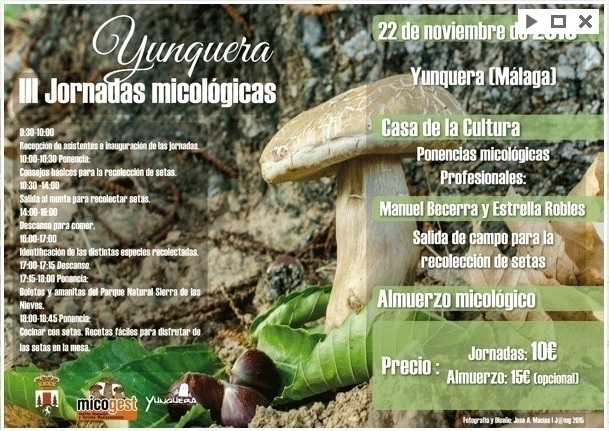 Jornadas Micológicas en Yunquera
