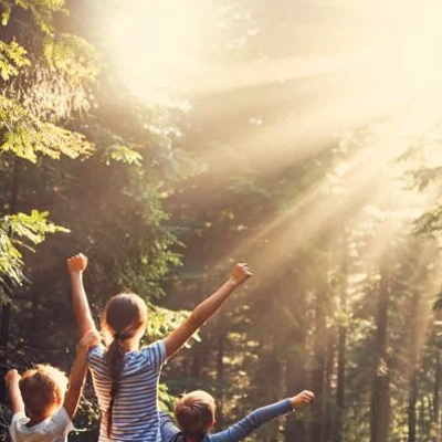 Activitat 'Què ens amaga el sol?'