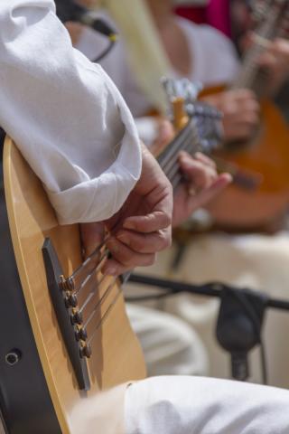 Romería Bajada de las Hayas