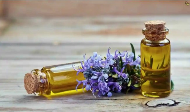 Perfumes da natureza