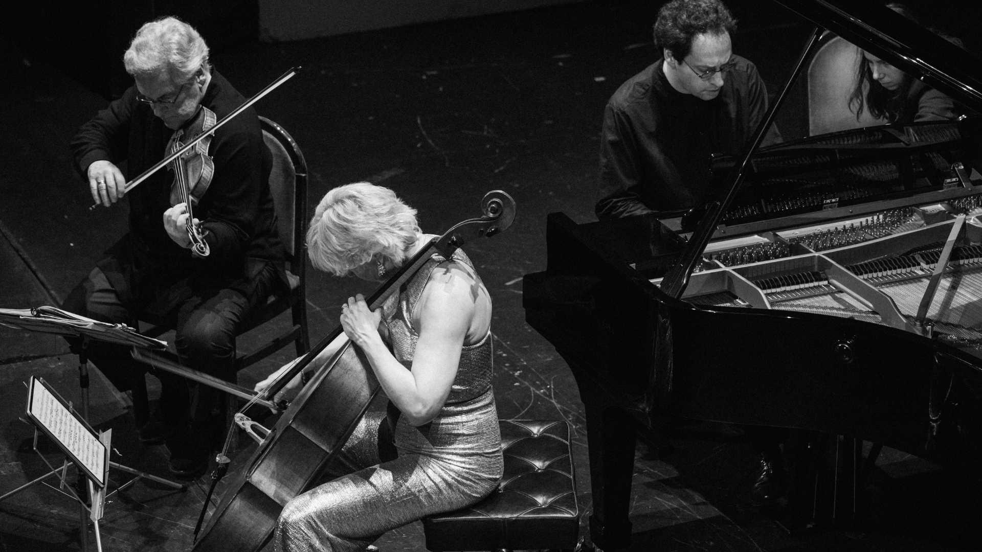 XV FESTIVAL INTERNACIONAL INVIERNO- PRIMAVERA DE CALP