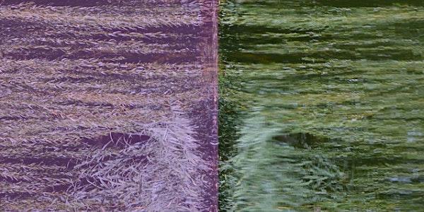 Conciliació Terrorífica