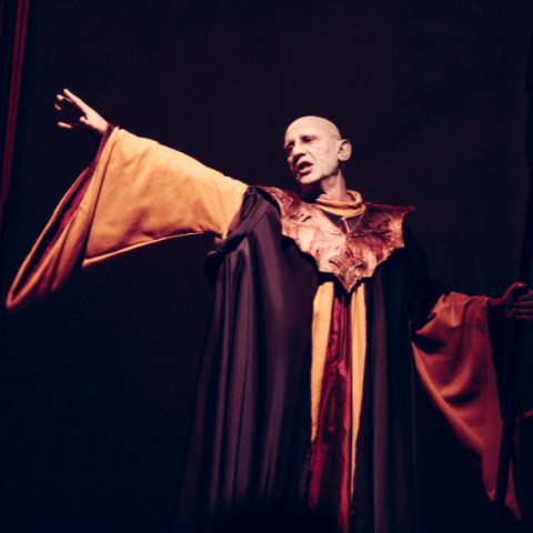 Carro alegórico y triunfal