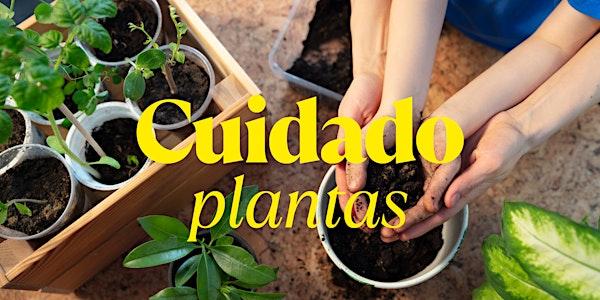Taller Flower | Cuidado de Plantas