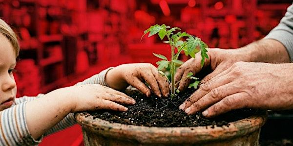 #KIDS CLUB Mallorca | Planta una Tomatera