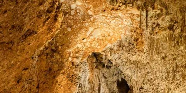 Visita guiada: Cova del Rull