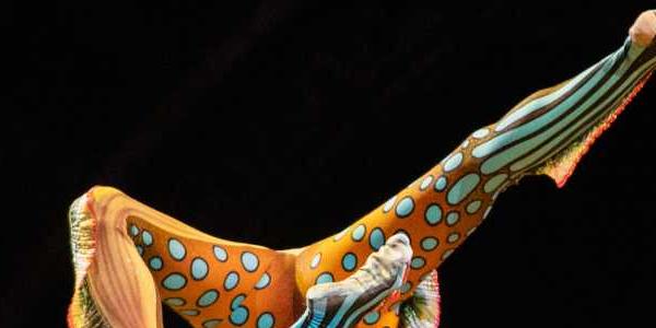Cirque du Soleil: Kurios - Gabinete de Curiosidades en Alicante